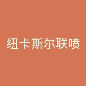纽卡斯尔联喷气机足球俱乐部官网