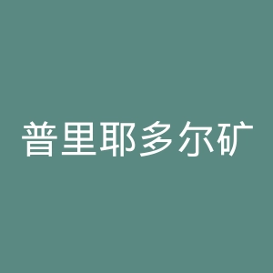 普里耶多尔矿工足球俱乐部官网