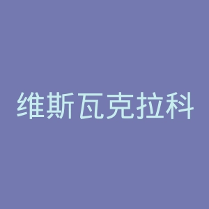 维斯瓦克拉科夫足球俱乐部官网