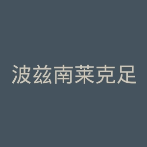 波兹南莱克足球俱乐部官网