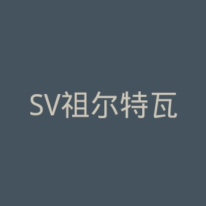 SV祖尔特瓦雷根官网