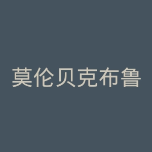 莫伦贝克布鲁塞尔斯卓贝克足球俱乐部官网