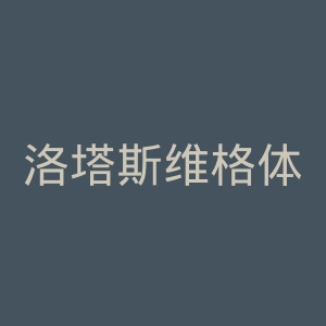 洛塔斯维格体育俱乐部官网