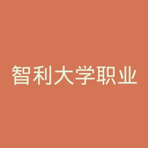 智利大学职业足球俱乐部官网