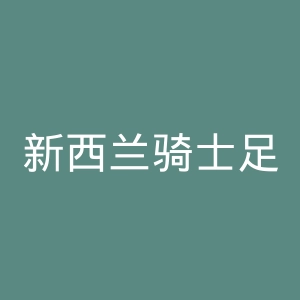 新西兰骑士足球俱乐部官网