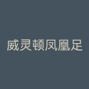 威灵顿凤凰足球俱乐部官网