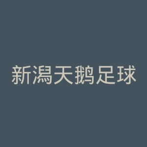 新潟天鹅足球俱乐部二队官网