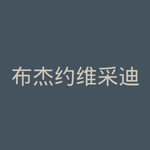 布杰约维采迪纳莫足球俱乐部官网