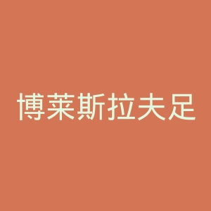 博莱斯拉夫足球俱乐部官网