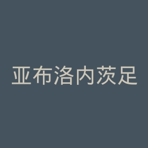 亚布洛内茨足球俱乐部官网