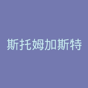 斯托姆加斯特官网