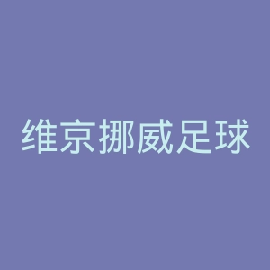维京挪威足球球会官网