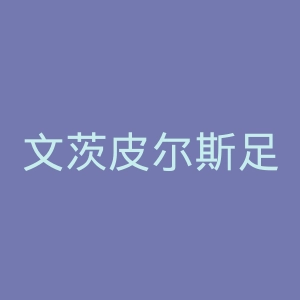 文茨皮尔斯足球俱乐部官网