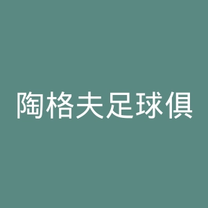 陶格夫足球俱乐部官网