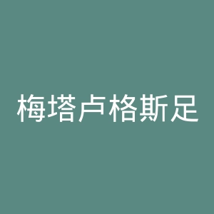 梅塔卢格斯足球俱乐部官网