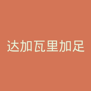 达加瓦里加足球俱乐部官网