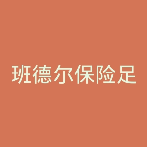 班德尔保险足球俱乐部官网