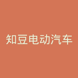 知豆电动汽车官方网官网