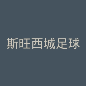 斯旺西城足球俱乐部官网