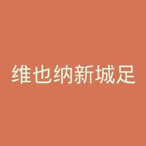 维也纳新城足球俱乐部官网