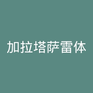 加拉塔萨雷体育俱乐部官网