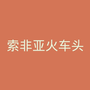 索非亚火车头足球俱乐部官网