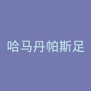 哈马丹帕斯足球俱乐部官网