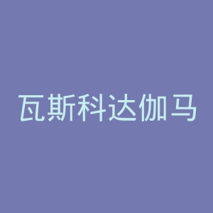 瓦斯科达伽马足球俱乐部官网
