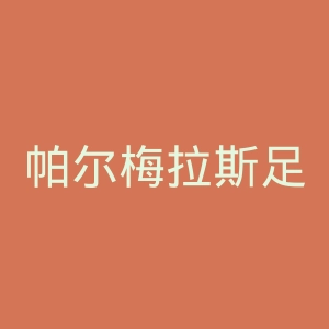 帕尔梅拉斯足球俱乐部官网