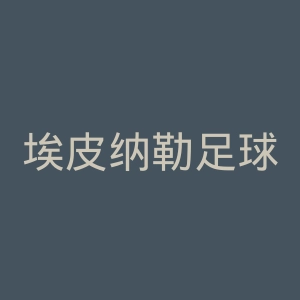 埃皮纳勒足球俱乐部官网