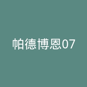 帕德博恩07足球俱乐部官网