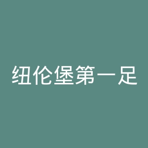 纽伦堡第一足球俱乐部官网
