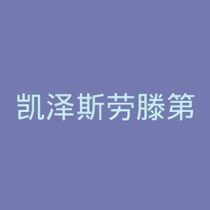 凯泽斯劳滕第一足球俱乐部官网