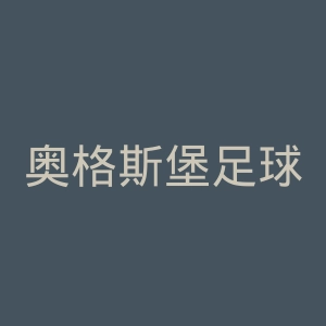 奥格斯堡足球俱乐部官网
