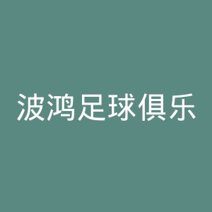 波鸿足球俱乐部官网
