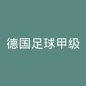 德国足球甲级联赛官网