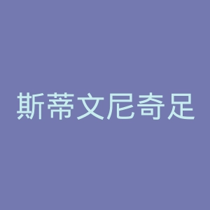 斯蒂文尼奇足球俱乐部官网