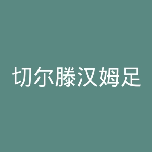 切尔滕汉姆足球俱乐部官网