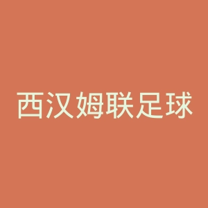 西汉姆联足球俱乐部官网