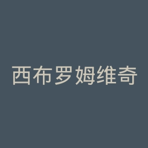 西布罗姆维奇足球俱乐部官网