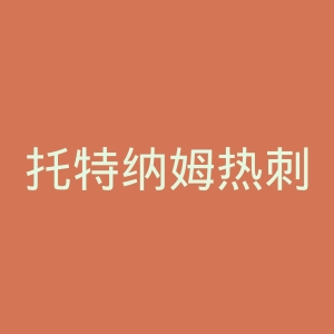 托特纳姆热刺足球俱乐部官网