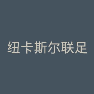 纽卡斯尔联足球俱乐部官网