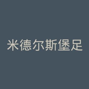米德尔斯堡足球俱乐部官网