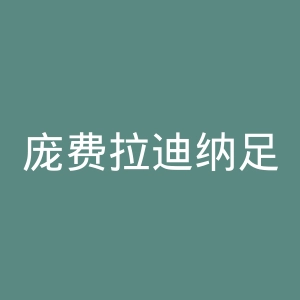 庞费拉迪纳足球俱乐部官网
