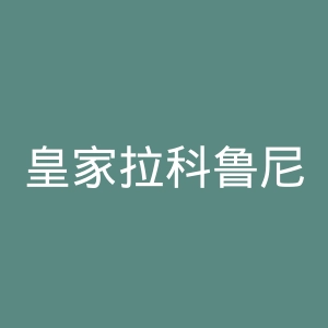 皇家拉科鲁尼亚竞技俱乐部官网