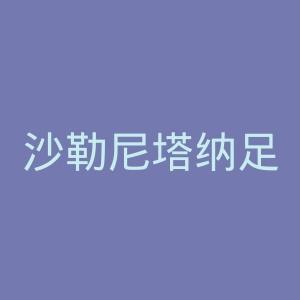沙勒尼塔纳足球俱乐部官网