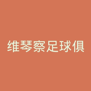 维琴察足球俱乐部官网