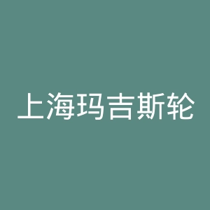 上海玛吉斯轮胎篮球队官网