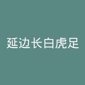 延边长白虎足球俱乐部官网