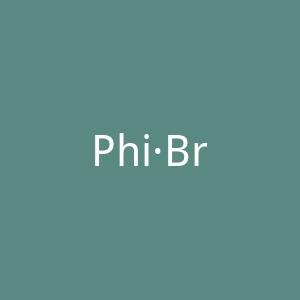 Phi·Brain官网